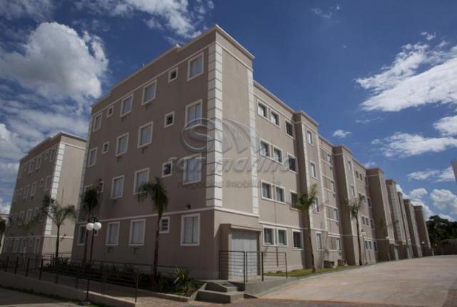 Apartamento para alugar com 2 dormitórios em Sumarezinho, Ribeirao preto cod:L2515 - Foto 8