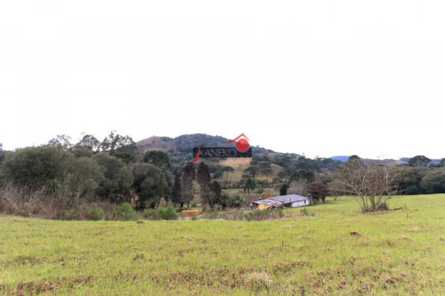 8287 | chácara à venda em guarapuava - Foto 8