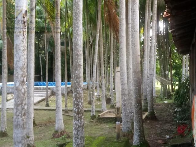 197 - Belíssimo sitio Situado No Jardim Neópolis Venda R$200.000,00 - Foto 8
