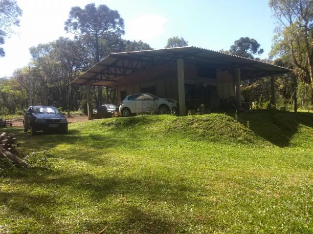 8287 | chácara à venda em guarapuava - Foto 7
