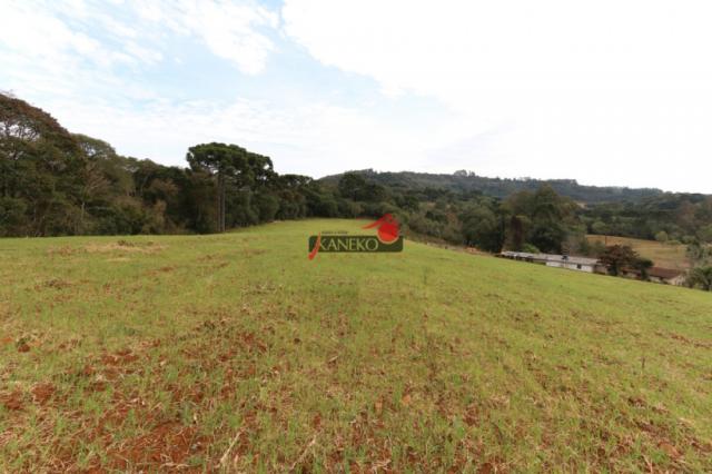 8287 | chácara à venda em guarapuava - Foto 10