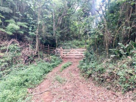 Sítio à venda em Centro, Rio branco do sul cod:155475 - Foto 18