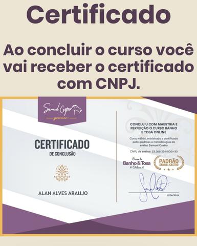 Curso de banho e tosa online - Foto 2