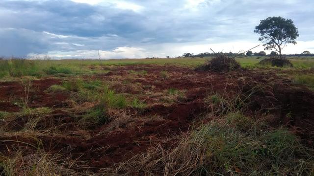 Fazenda terra de cultura município Tupaciguara - Foto 7