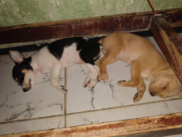 Vendo - Foto 3
