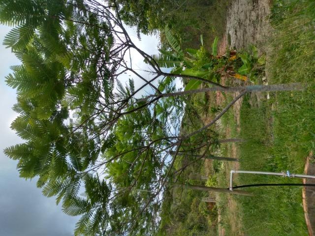 Sítio Botumirim-MG - Foto 11