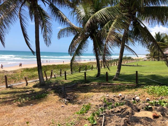 Excelente Lote 16X40 beira-mar, Porto de Galinhas Ipojuca/PE - Brasil - Foto 10