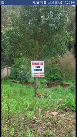 Terreno Jd Alto Pinheiro Almirante Tamandaré - Foto 3