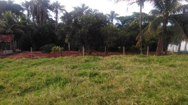 Fazenda terra de cultura município Tupaciguara - Foto 4