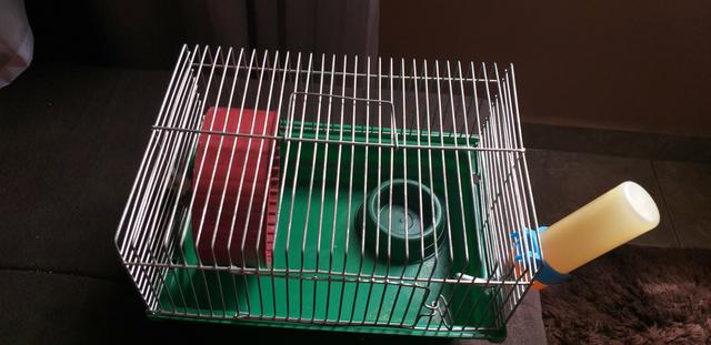 Gaiola para Hamster simples - Foto 2