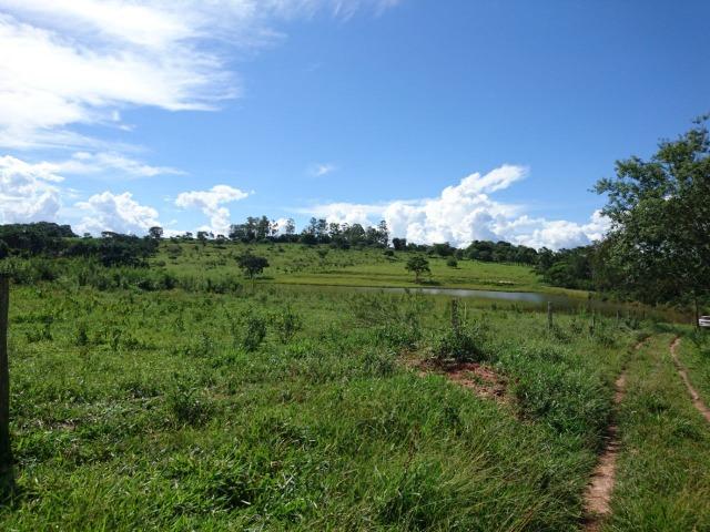 Fazenda 70 Alqueires em Cristianópolis-GO (Lavoura e Gado) - Foto 13