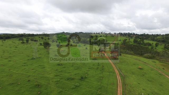 220 Alq. (Plana + Asfalto + Rio). 70 km de Goiânia