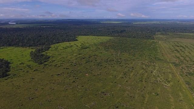 6.100 Há c/ Lavoura em Nova Canna do Norte-MT - Foto 15