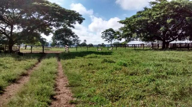 100 Alq. Cultura | Margem Lago | 78 km de Goiânia. R$ 15 Milhões - Foto 7