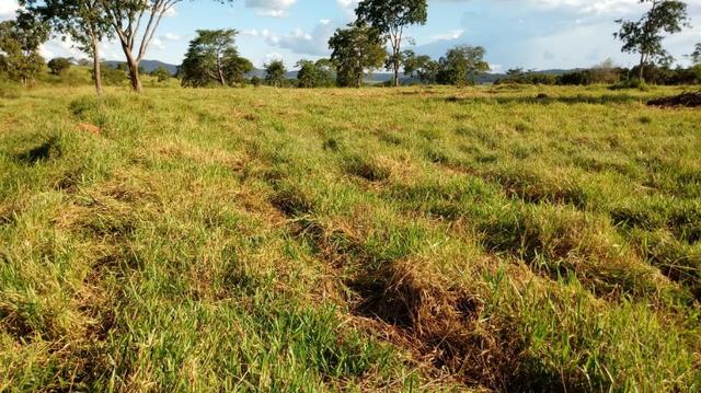 100 Alq. Cultura | Margem Lago | 78 km de Goiânia. R$ 15 Milhões - Foto 14