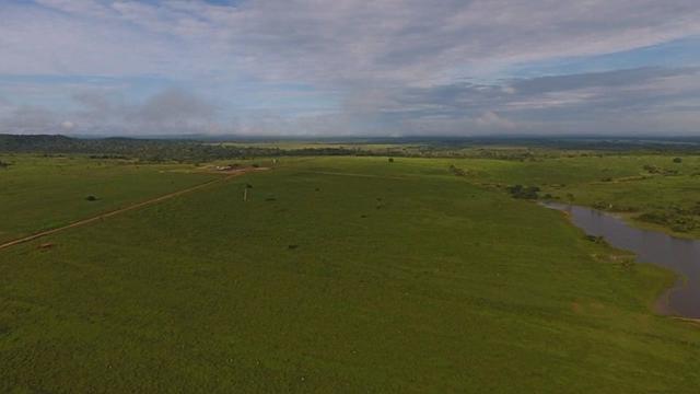 6.100 Há c/ Lavoura em Nova Canna do Norte-MT - Foto 2