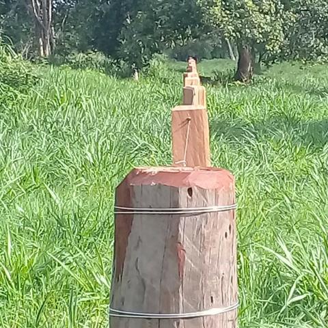 Fazenda Boa de Terra em Cocalinho - MT - Foto 12