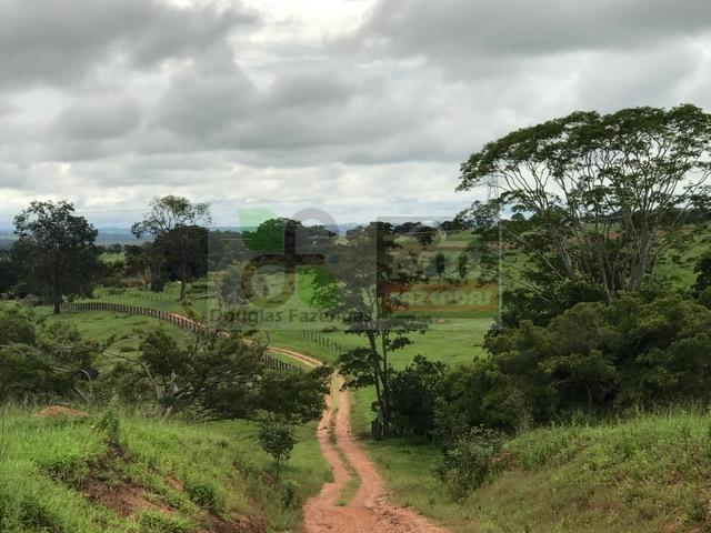 220 Alq. (Plana + Asfalto + Rio). 70 km de Goiânia - Foto 10