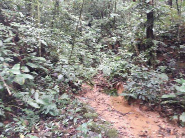Baixo valor Barbada d R$ 2.500.000,00 por R$ 1.050.000,00-Na Área Industrial d Joinville - Foto 10