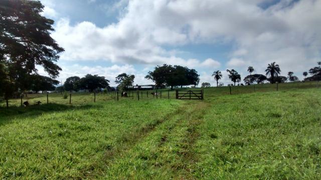 100 Alq. Cultura | Margem Lago | 78 km de Goiânia. R$ 15 Milhões
