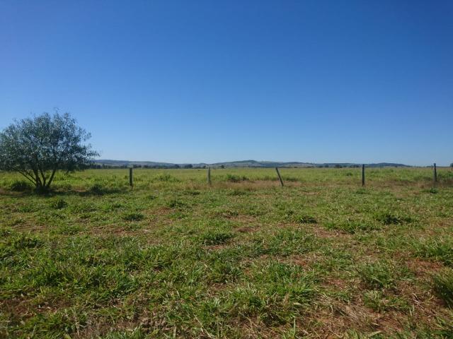 Fazenda Agrícola em Palminopolis-GO. 50 Alq. c/ 30 em Lavoura - Foto 7
