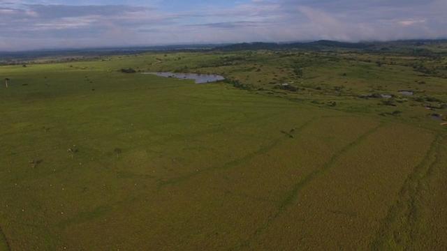 6.100 Há c/ Lavoura em Nova Canna do Norte-MT - Foto 12