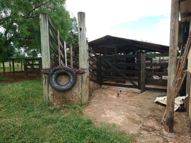 Fazenda Agrícola em Palminopolis-GO. 50 Alq. c/ 30 em Lavoura - Foto 13