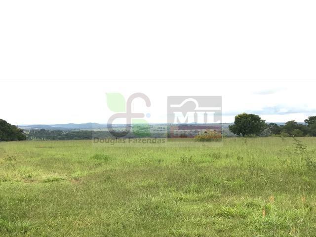 220 Alq. (Plana + Asfalto + Rio). 70 km de Goiânia - Foto 18