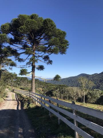 Sítio em Urubici - Foto 7