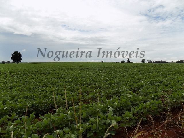 Sítio na região, área com 24 alqueires, terra vermelha (Nogueira Imóveis Rurais) - Foto 7