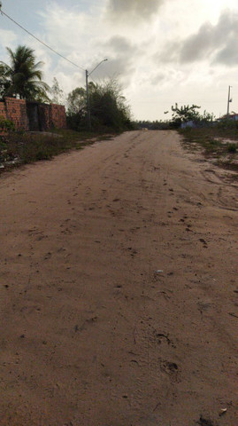 Lotes Panaquatira - Foto 4