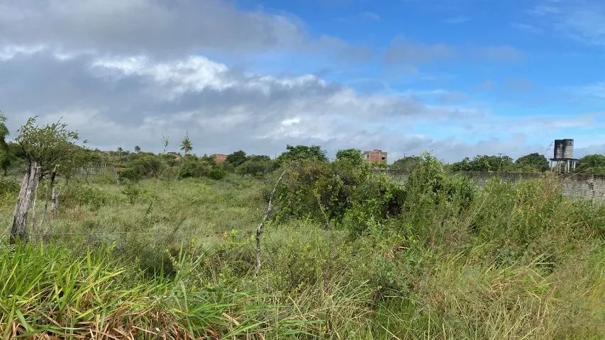 4 lotes 10x20 em Carapibus, a poucos metros da Cotorno de Jacumã - Foto 3