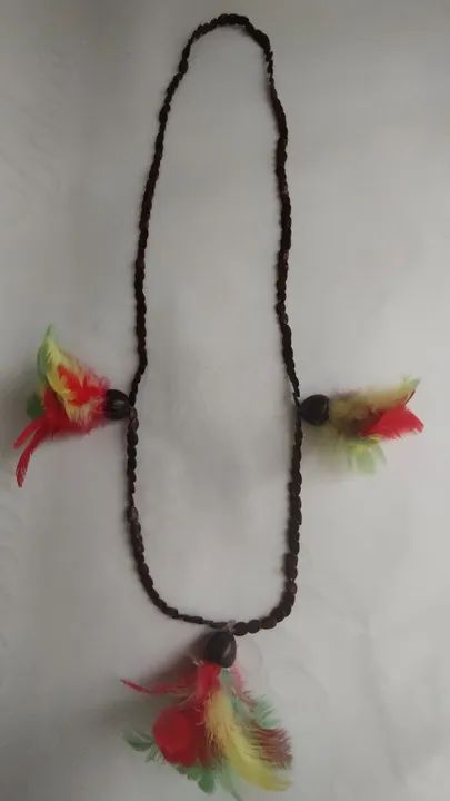 Colar indígena feito com sementes