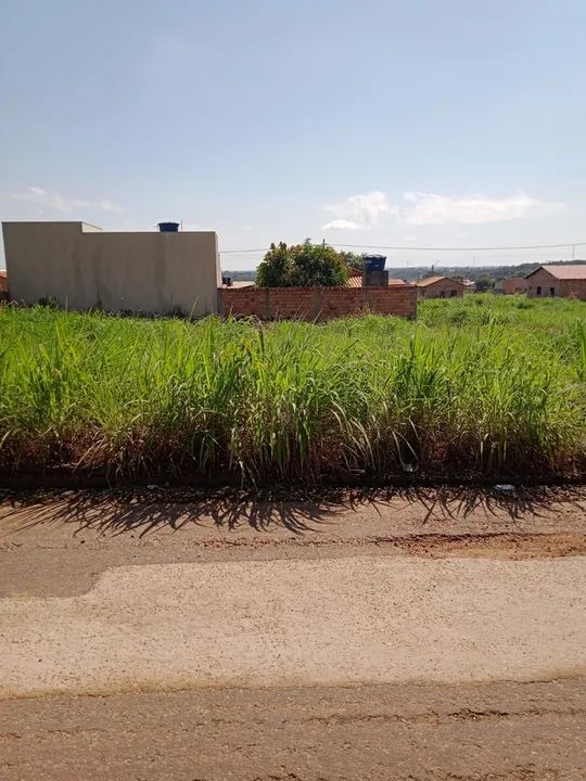 Vendo Excelente lote em Conceição do Araguaia