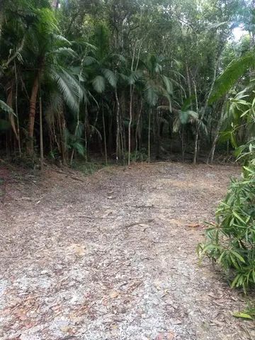 Terreno com cachoeira medindo 2 hectares  - Foto 4
