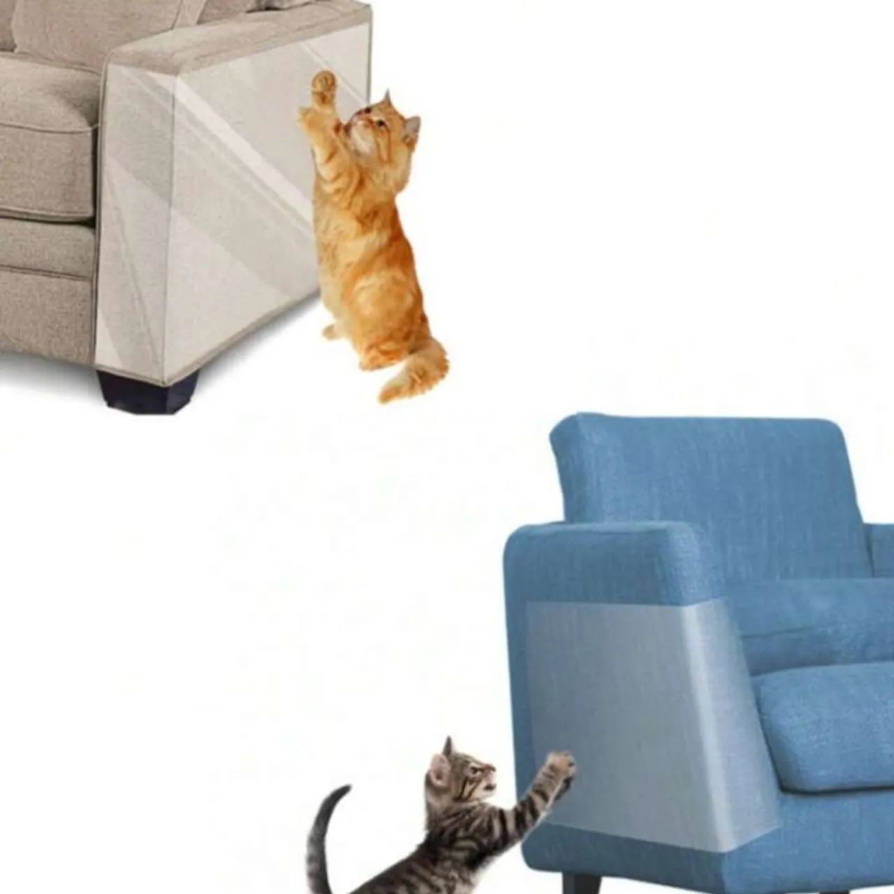 Assessorio pra pets  - Foto 4