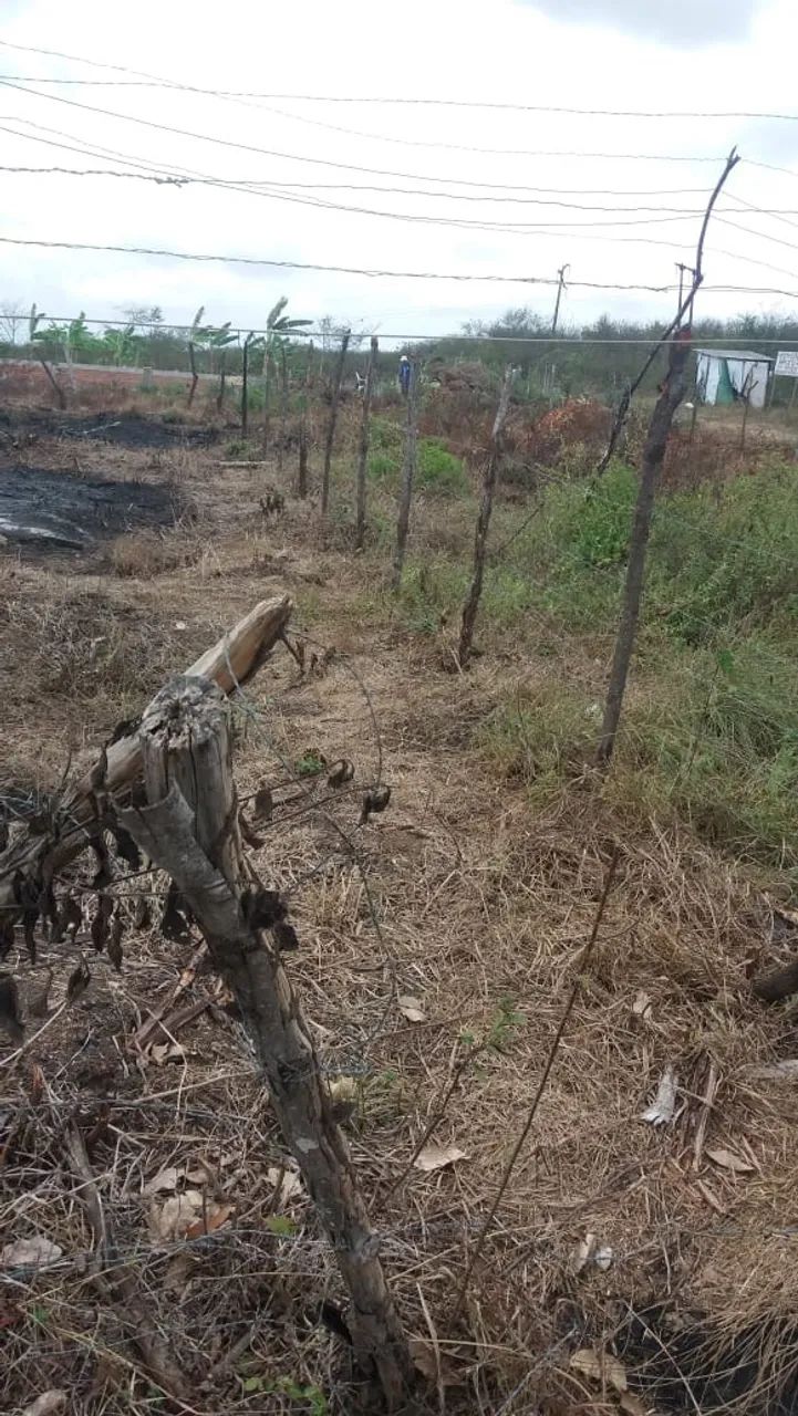 Loteamento Jardim Vila Ney - Quitado - (10m X 25m) 250m2 - Foto 2