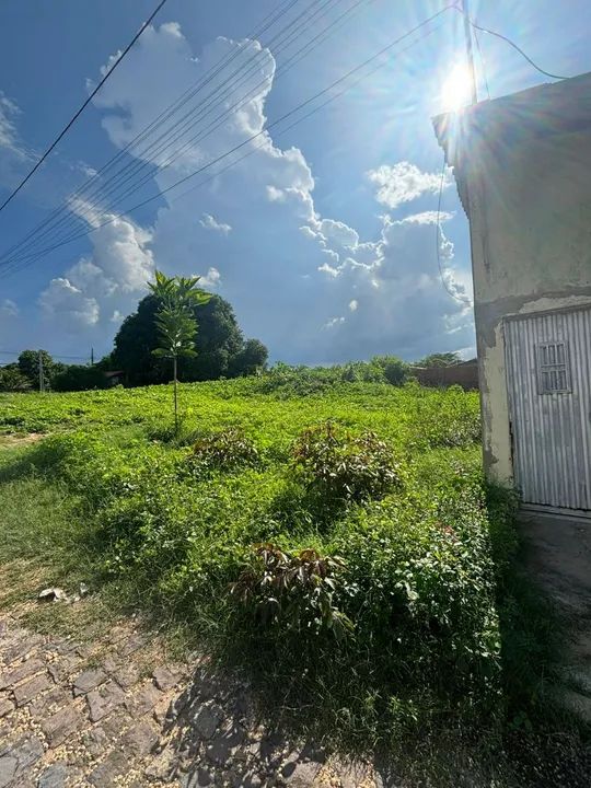 foto - Teresina - Angelim