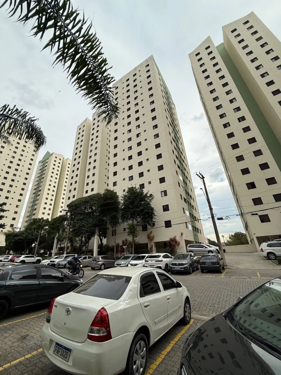 Foto - São Paulo - Parque Alves de Lima