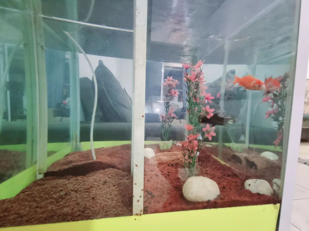 Aquário de Vidro para Peixes - Foto 5