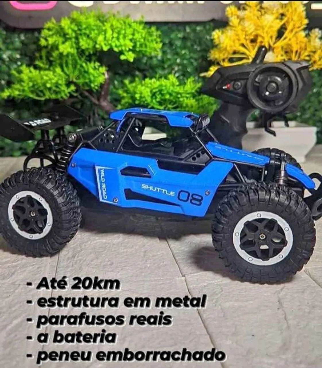 Carrinho de Controle Remoto Rally - 20 km/h