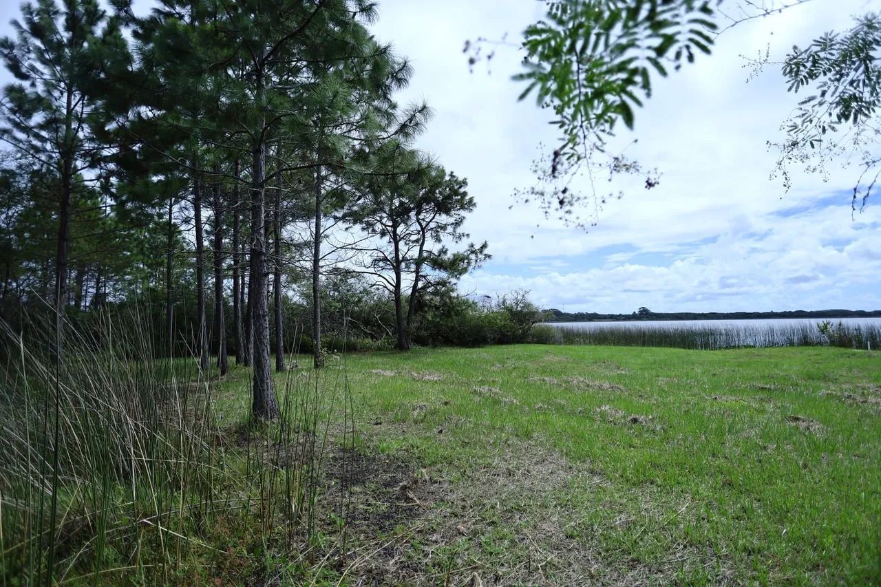 Foto - Balneário Pinhal - Balneário Pinhal