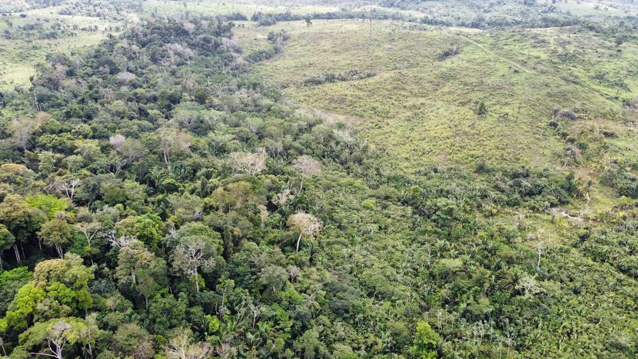 Fazenda 14 Alqueires 