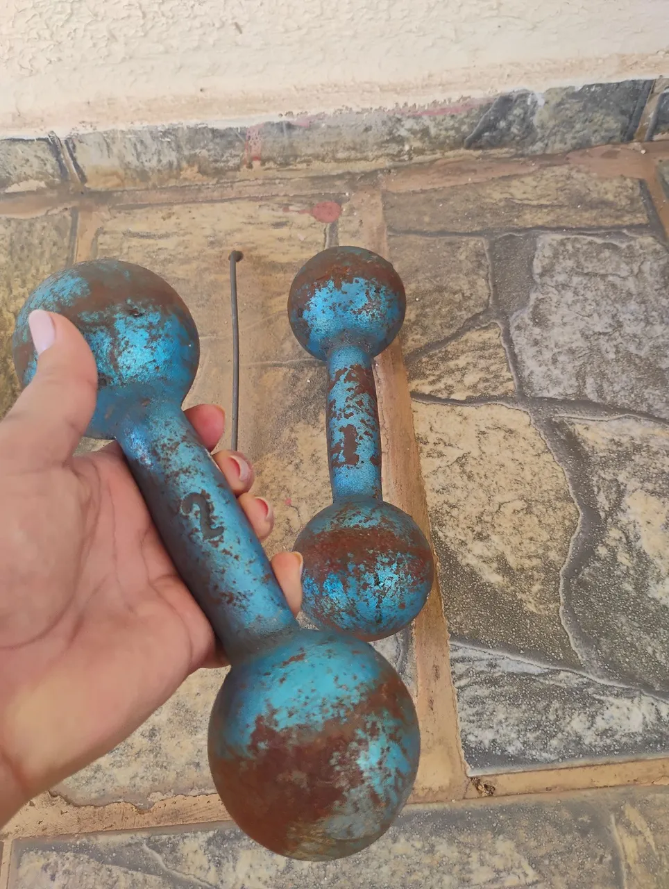 Halteres de ferro azul - Academia e Exercícios