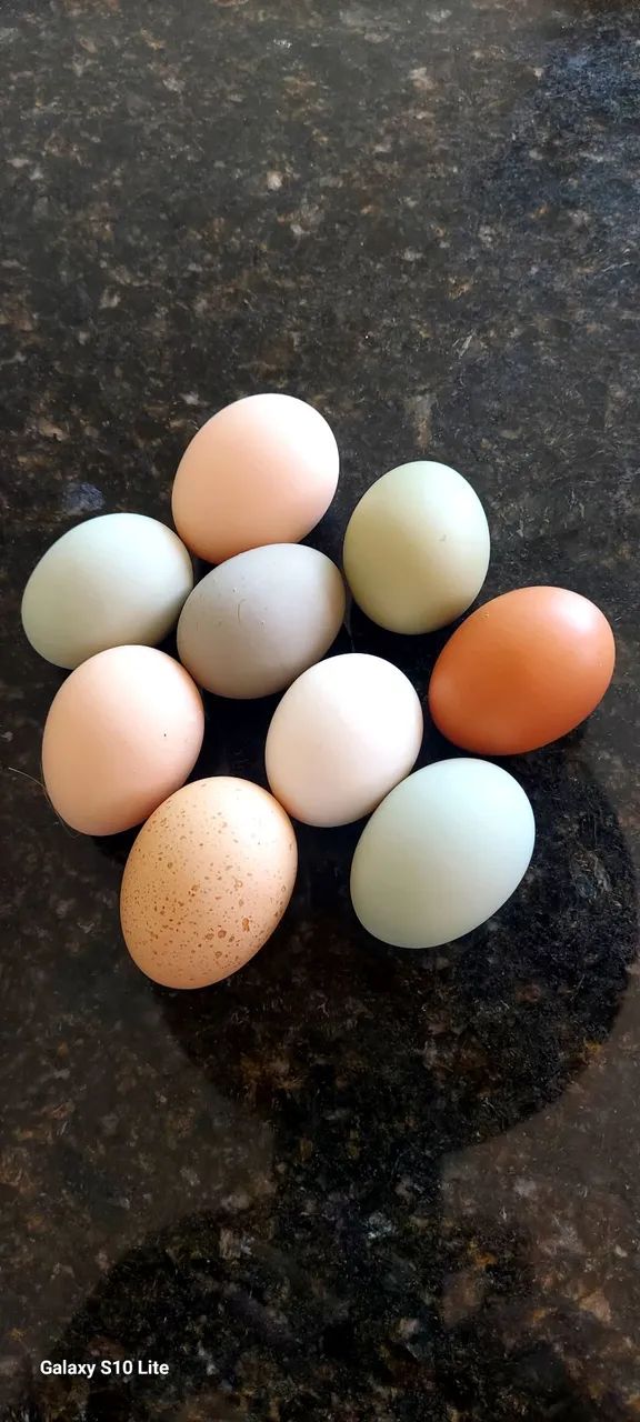 Ovos Caipira Colorido 30und.