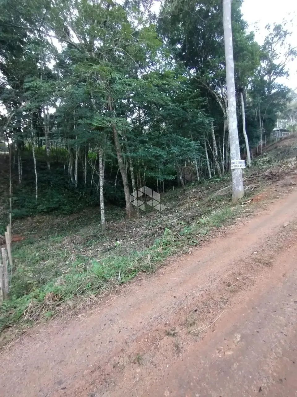 Terreno no bairro Forquilhas, em São José - SC - Foto 12