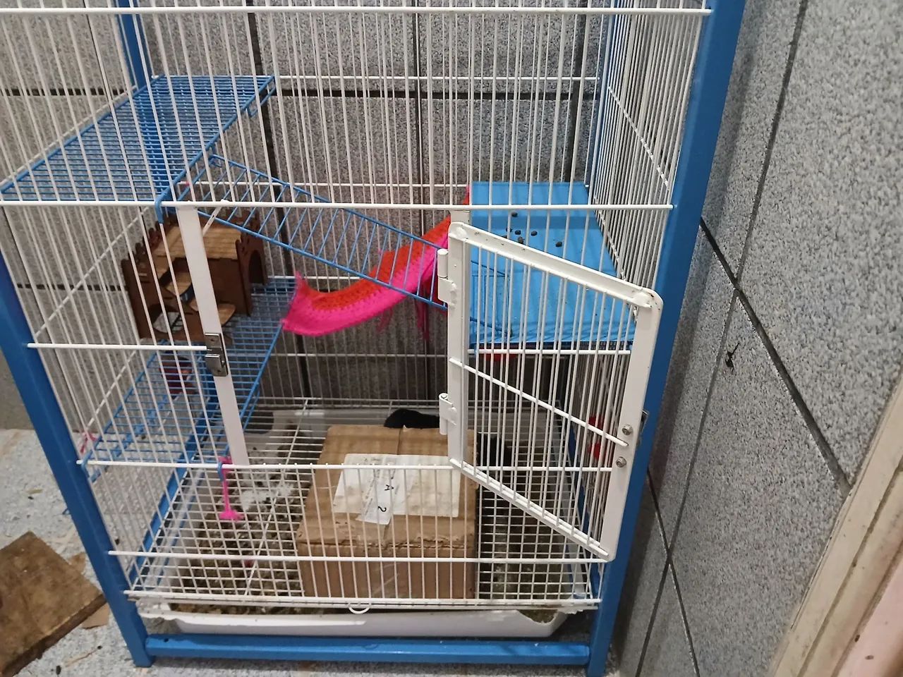  gaiola gaiopar + 2 rato twister(somente o conjunto) ?