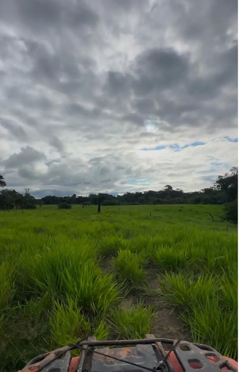 Vende-se esta propriedade  - Foto 3