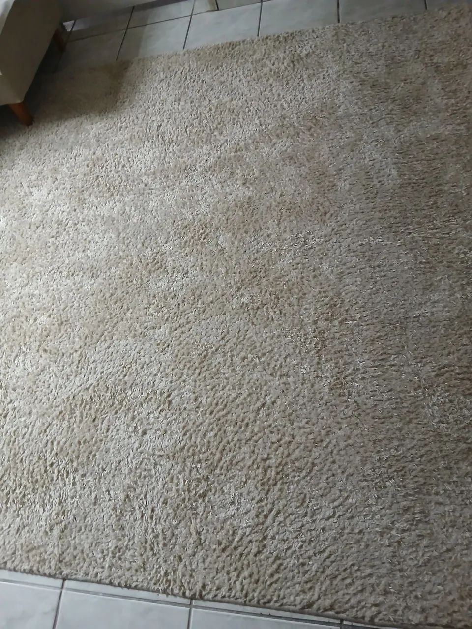 TAPETE BEGE CLARO HIGIENIZADO