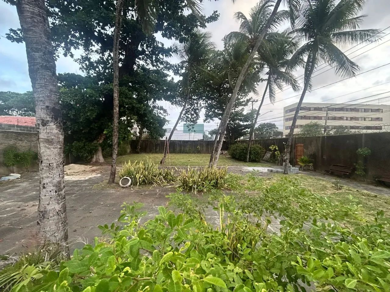 Imóvel para aluguel possui 1000 metros quadrados com 3 quartos - Foto 2